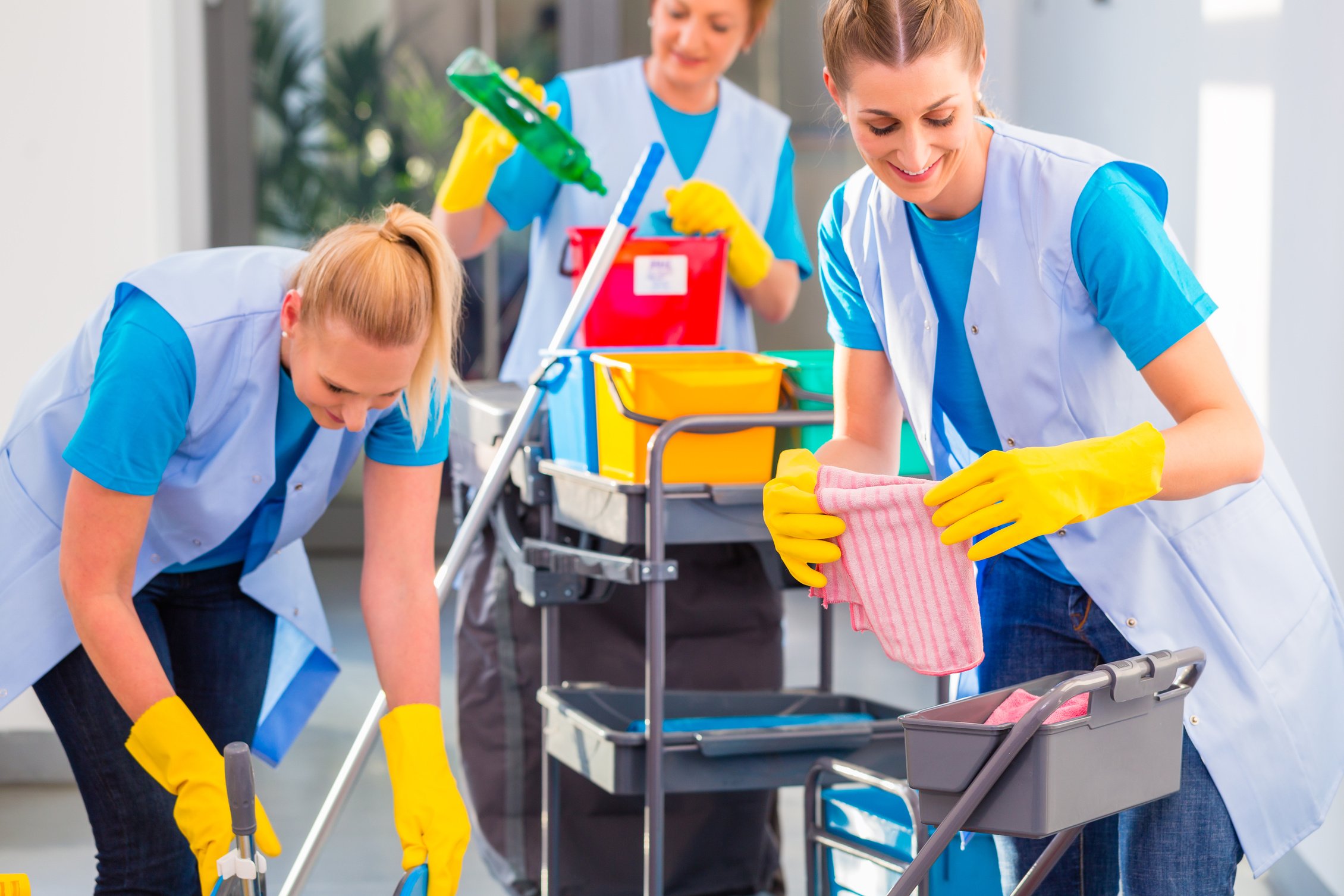 Commercial Cleaners